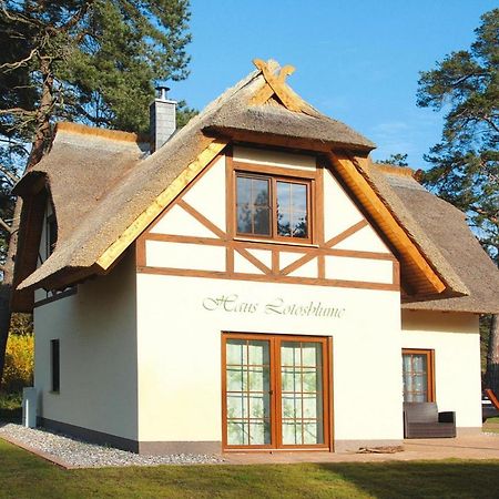 Holiday Home Lotusbluete, Zirchow エクステリア 写真
