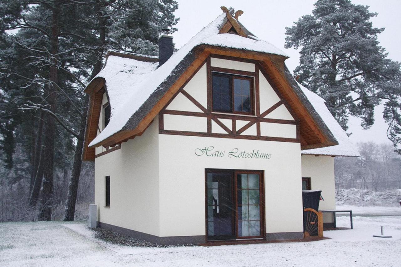 Holiday Home Lotusbluete, Zirchow エクステリア 写真